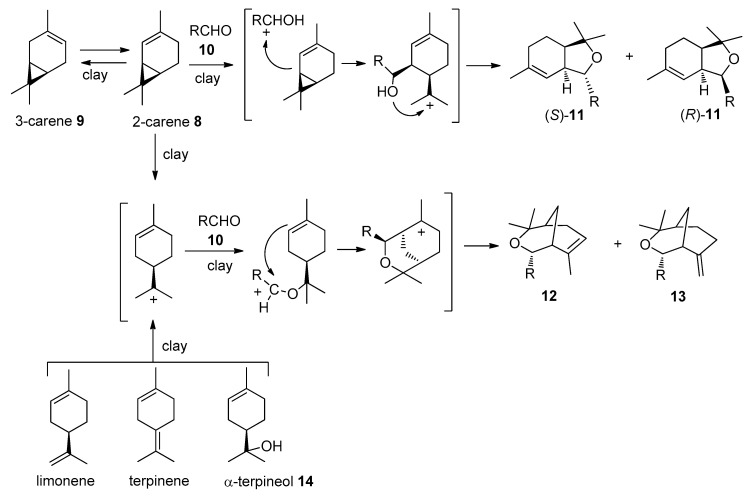 Scheme 3