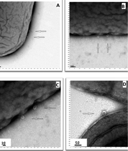 Fig. 8.