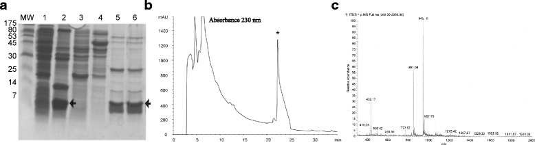 Fig. 3