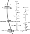 FIG. 1.
