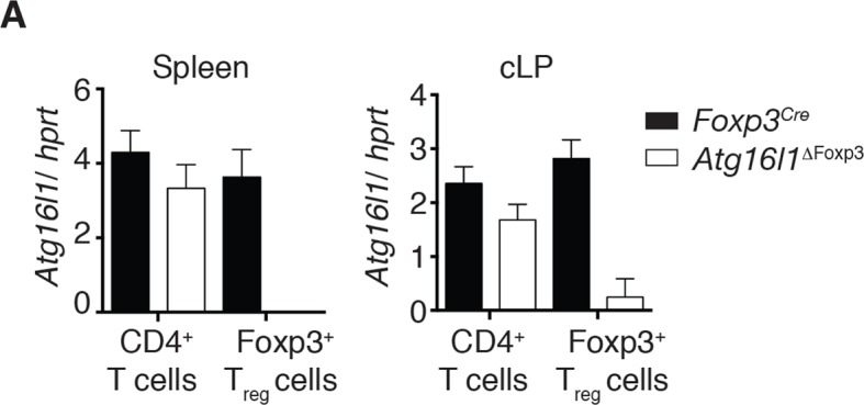 Figure 6—figure supplement 2.