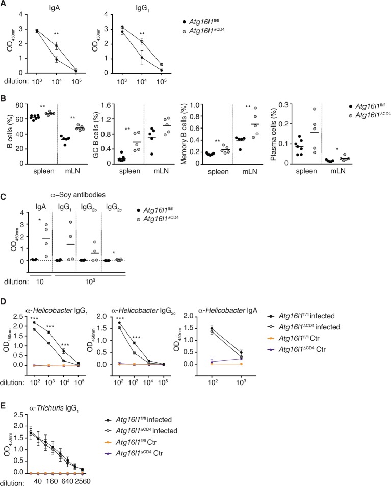 Figure 3—figure supplement 1.