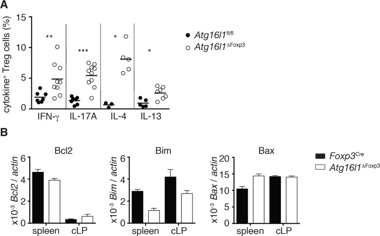 Figure 8—figure supplement 1.