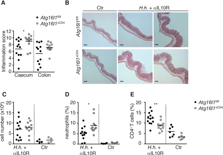 Figure 2—figure supplement 2.