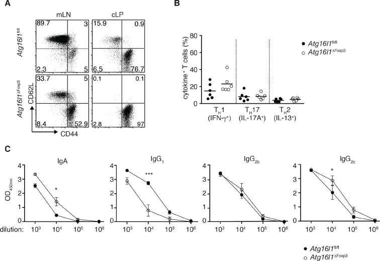 Figure 7—figure supplement 1.