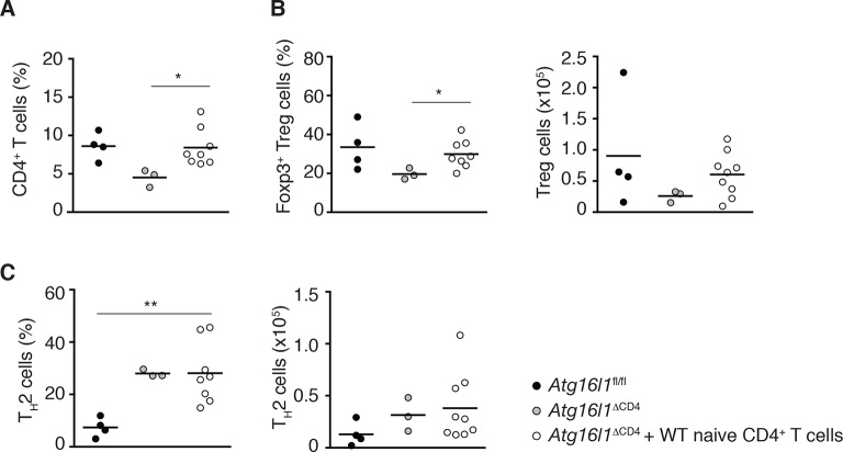 Figure 5—figure supplement 1.