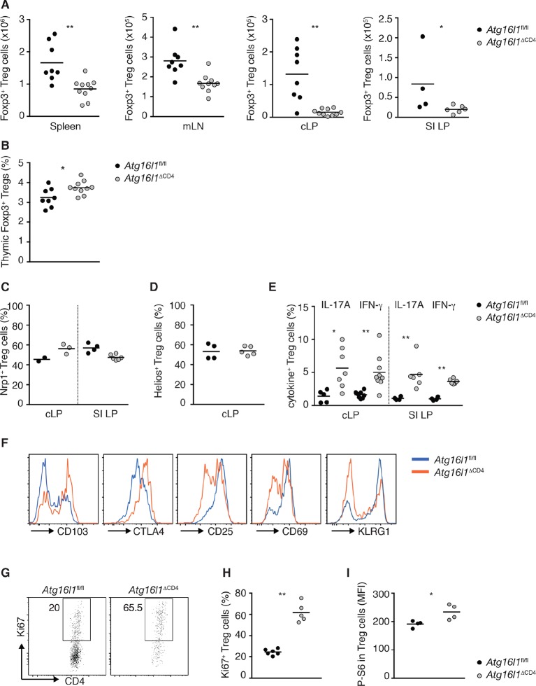 Figure 2—figure supplement 4.