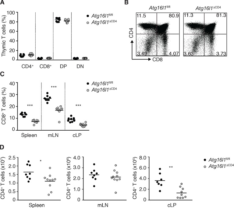 Figure 2—figure supplement 1.