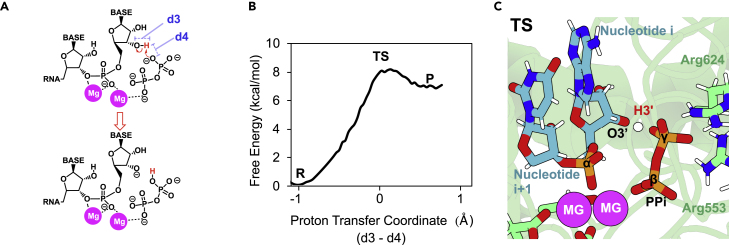 Figure 3