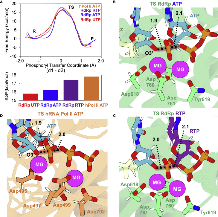 Figure 4