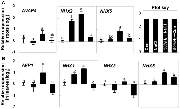 Figure 5