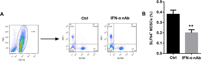 FIG 4