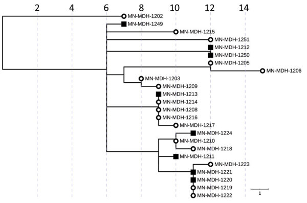 Figure 6