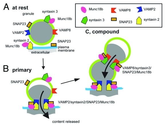 Figure 1.