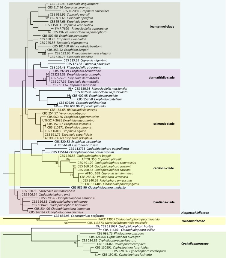 FIG 1