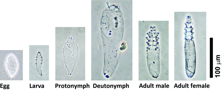 Figure 2.