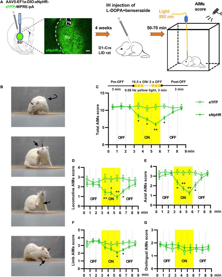 FIGURE 3