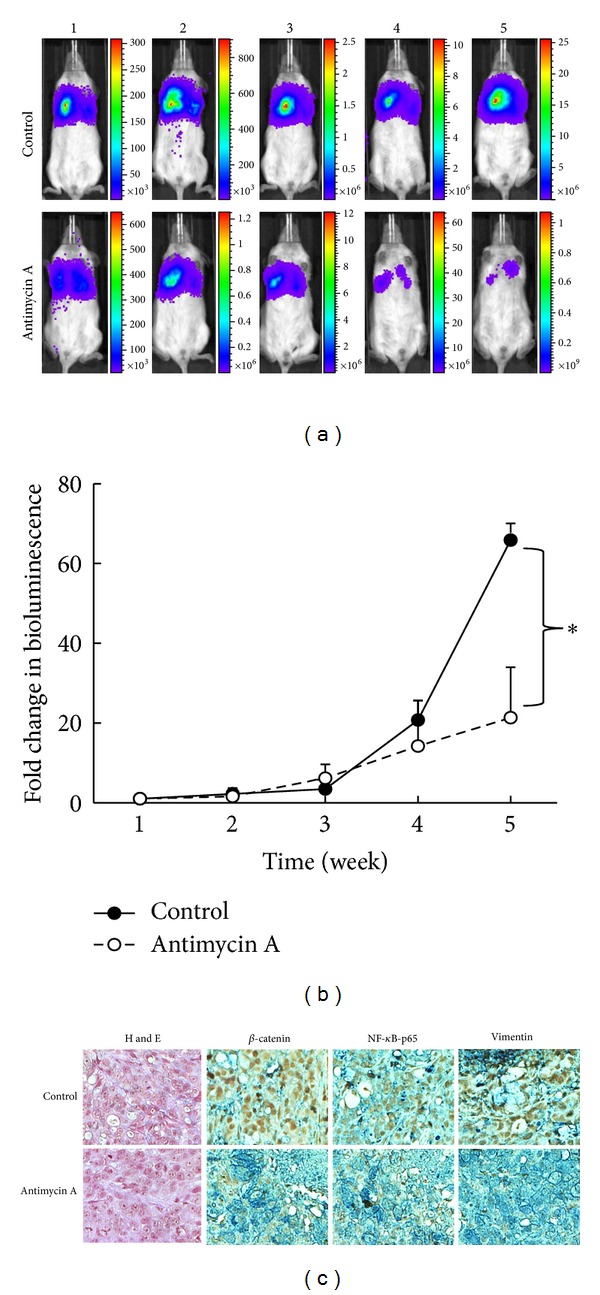 Figure 5