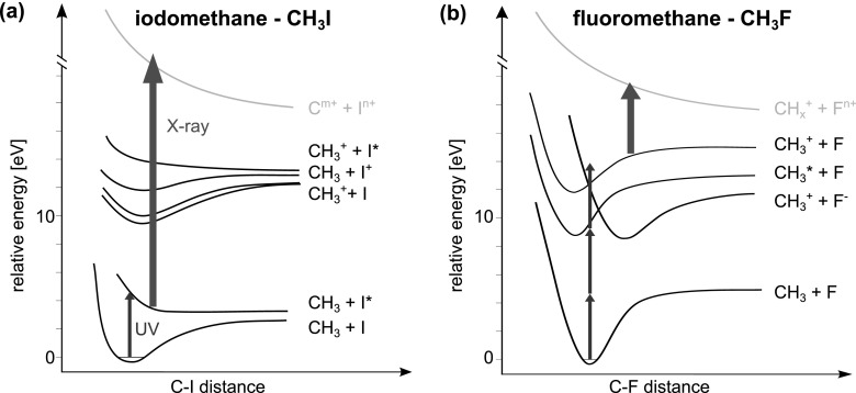 FIG. 2.