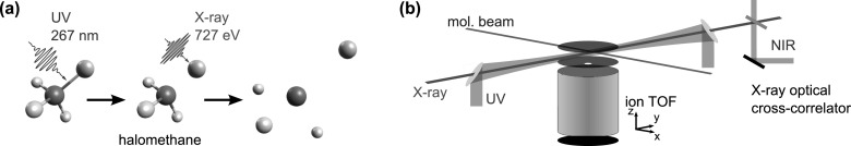 FIG. 1.