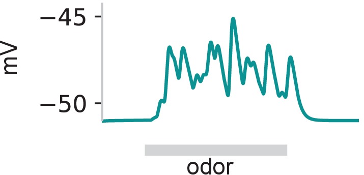 Figure 5—figure supplement 2.