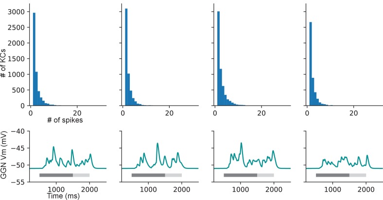 Figure 6—figure supplement 1.