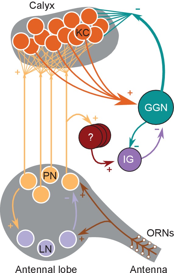 Figure 10.