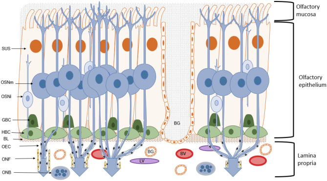 Fig. 2