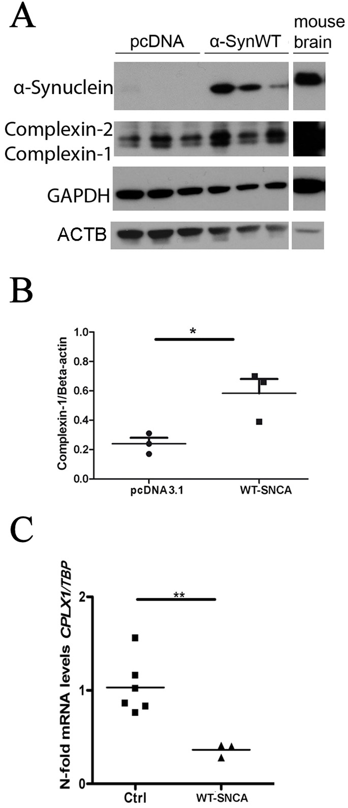 Fig. 5.