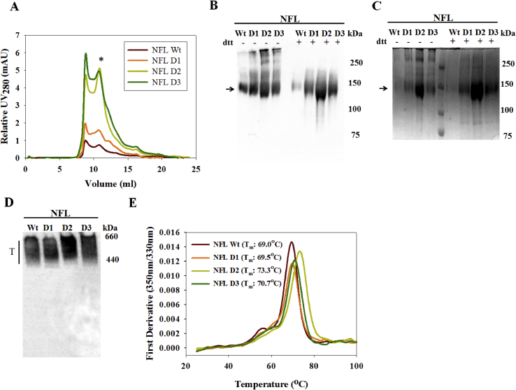 Fig. 2