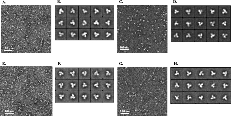 Fig. 3