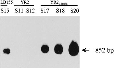 FIG. 6