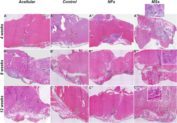 FIGURE 4