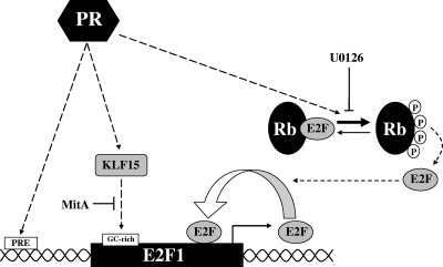 FIG. 7.