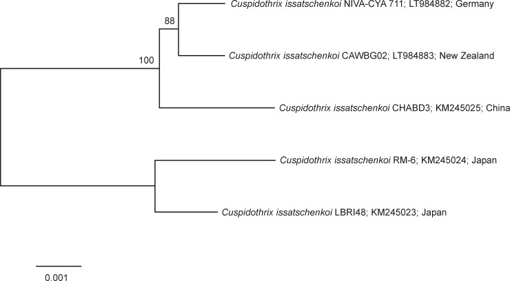 Fig 2