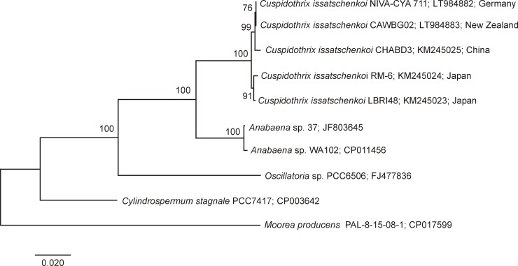 Fig 3