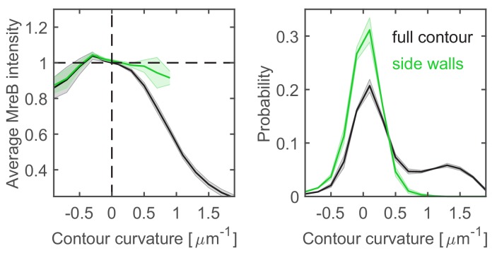 Figure 6—figure supplement 1.