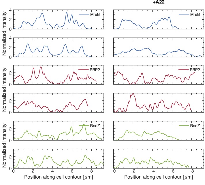 Figure 3—figure supplement 1.