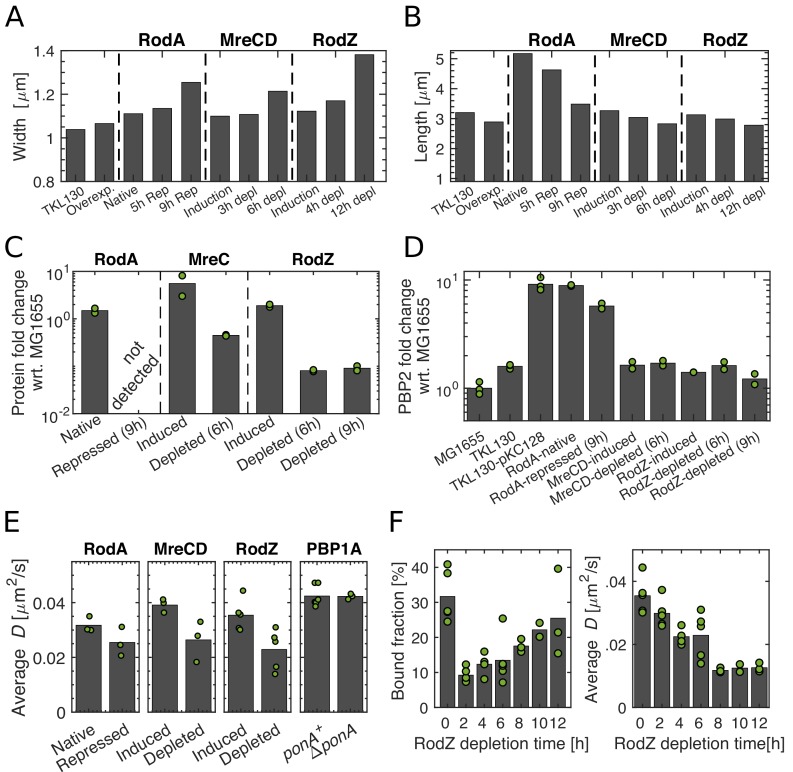 Figure 5—figure supplement 2.