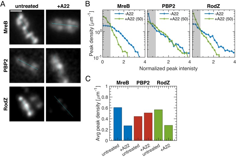 Figure 3—figure supplement 2.