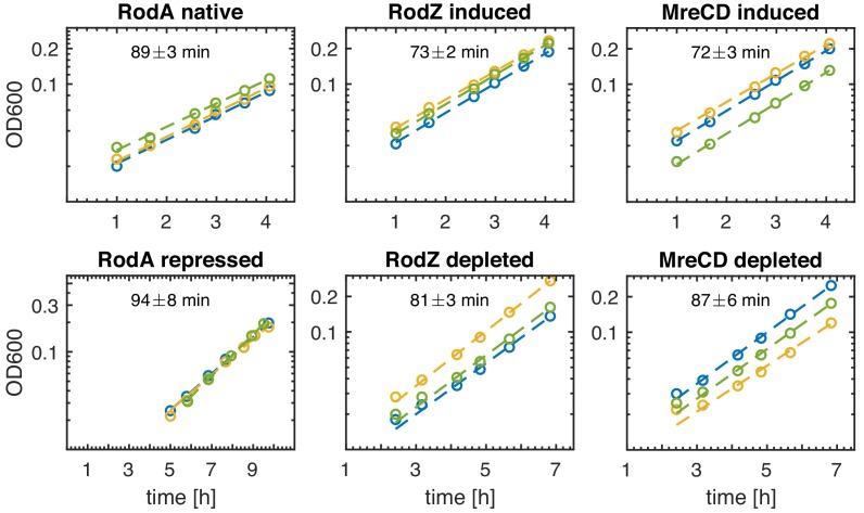 Figure 5—figure supplement 1.