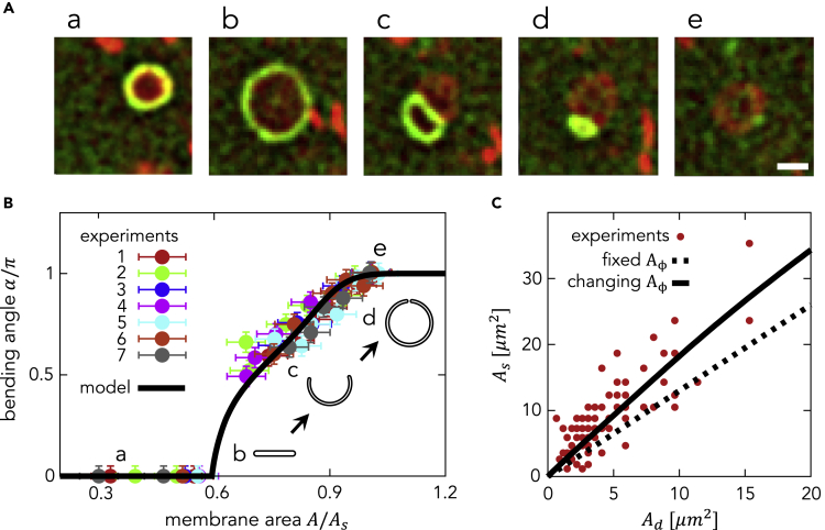 Figure 7