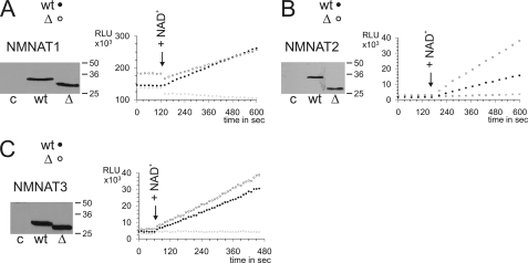 FIGURE 2.