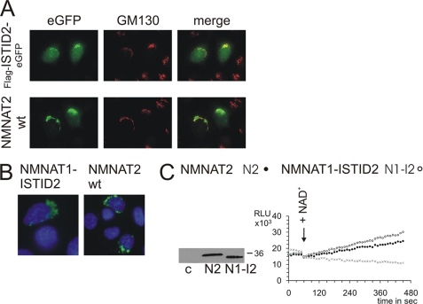 FIGURE 4.