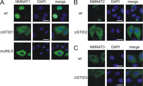 FIGURE 3.