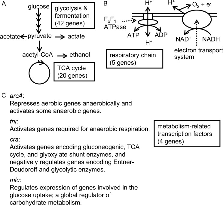 FIG 1