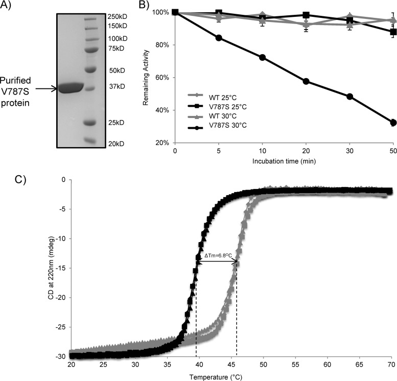 FIG 4