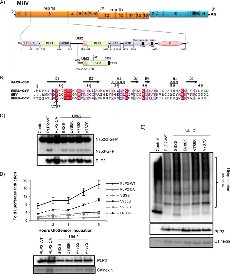 FIG 1