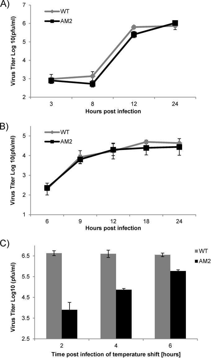 FIG 3