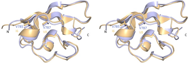 FIG 6